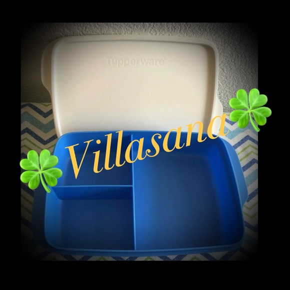 NEW 1L ECO DIVIDED LUNCH CONTAINER CONTAINER BLUE WITH WHITE LID  DIVIDERS KEEP - Picture 1 of 1